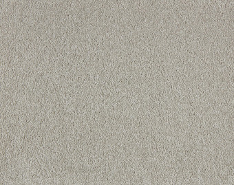 [400111254_5] Soft Distinction - 432-Elmwood
